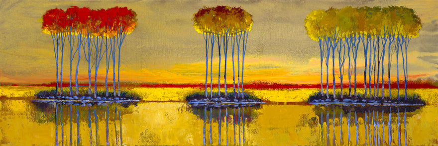 2017 Limited Edition Release