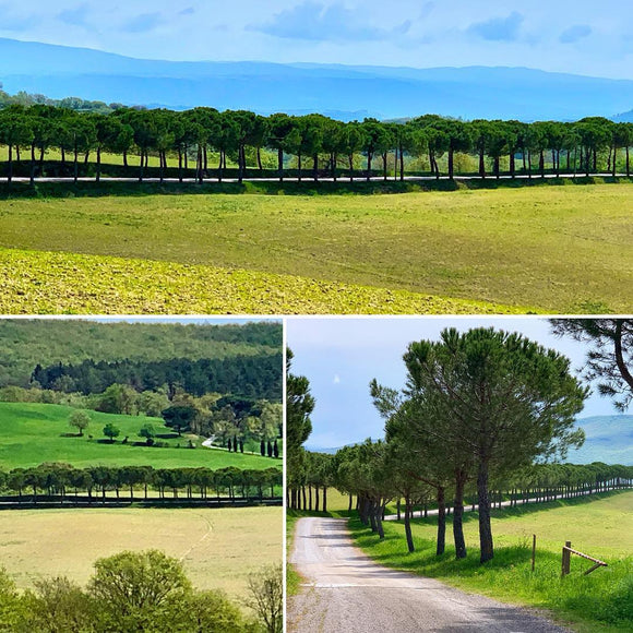 An Uncanny Discovery in Italy