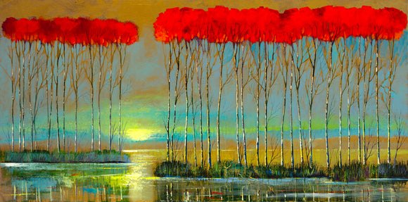 New Limited Edition Release