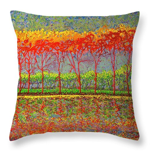 Optimistic Spin - Throw Pillow